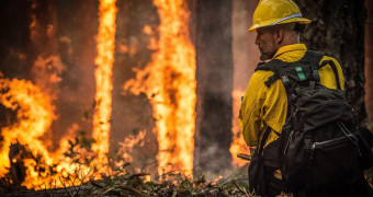 Wildfire Premium Tax Increase