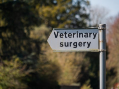 Pet Health Insurance