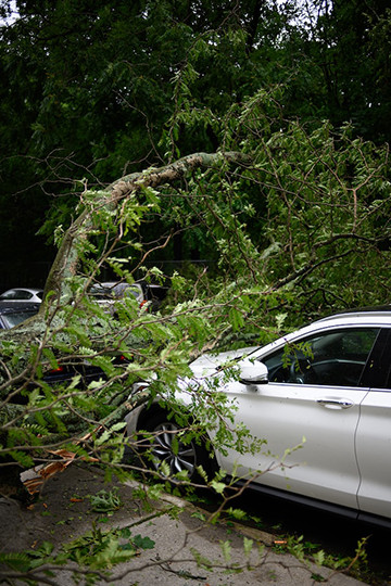 Storm Damage