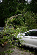 Winter Storms and Insurance