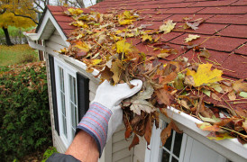 Preparing for Winter